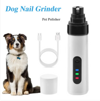 Trending Deals